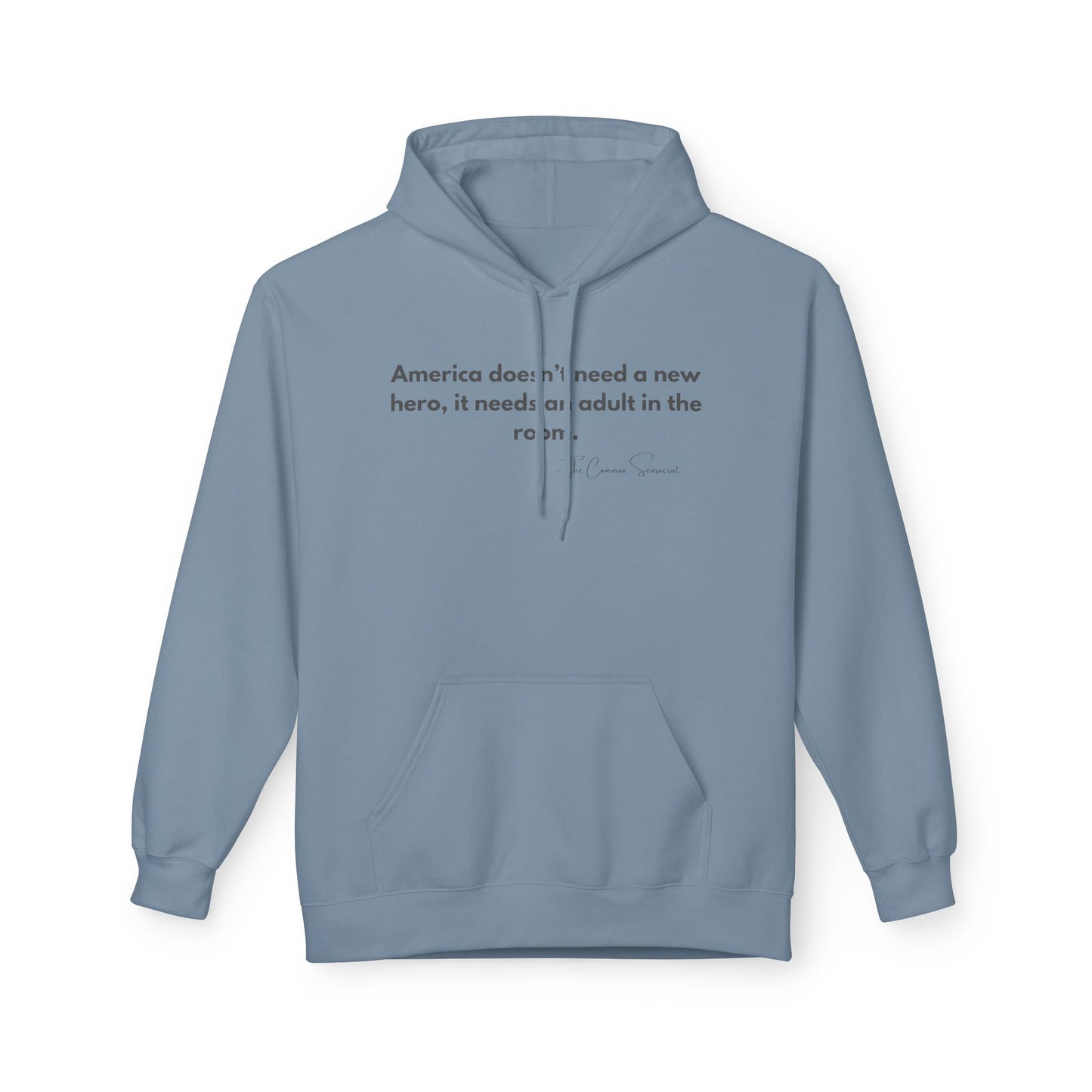 The Adult in the Room Hoodie // The Common Sensocrat