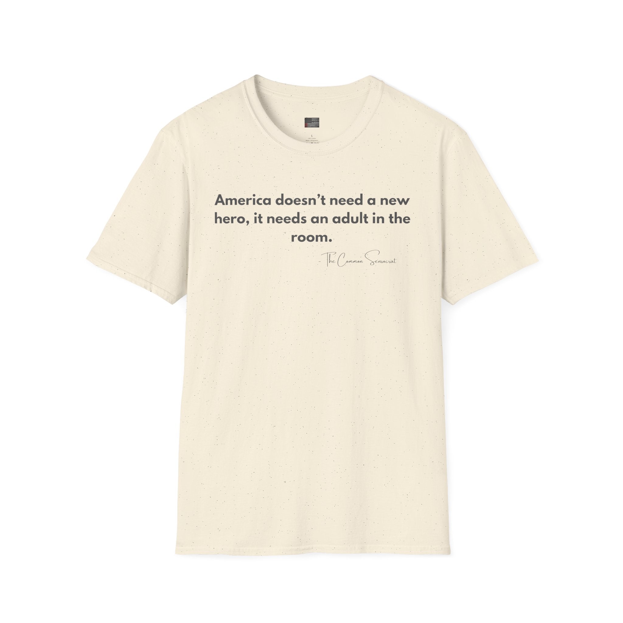 The Adult in the Room Tee // The Common Sensocrat