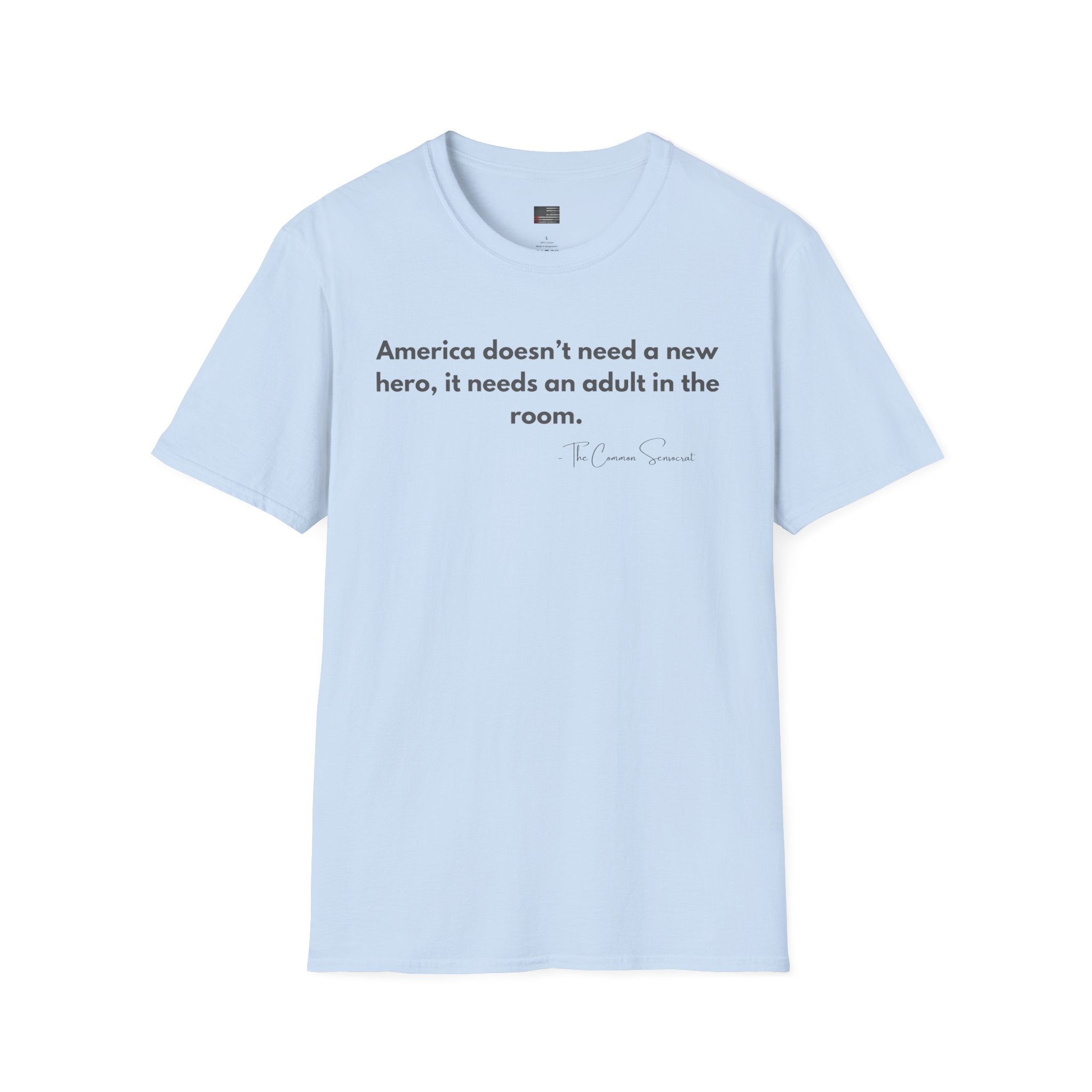The Adult in the Room Tee // The Common Sensocrat