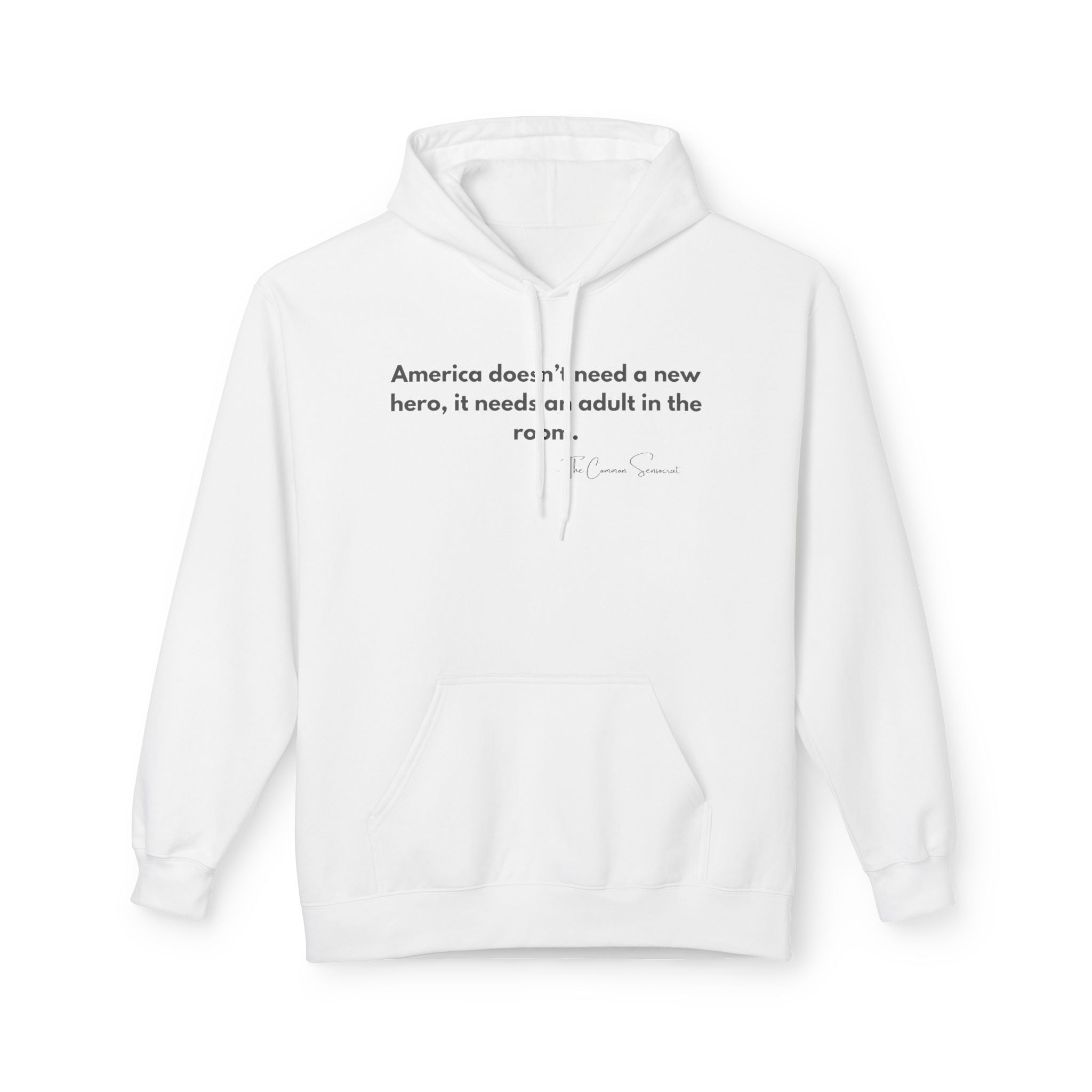 The Adult in the Room Hoodie // The Common Sensocrat