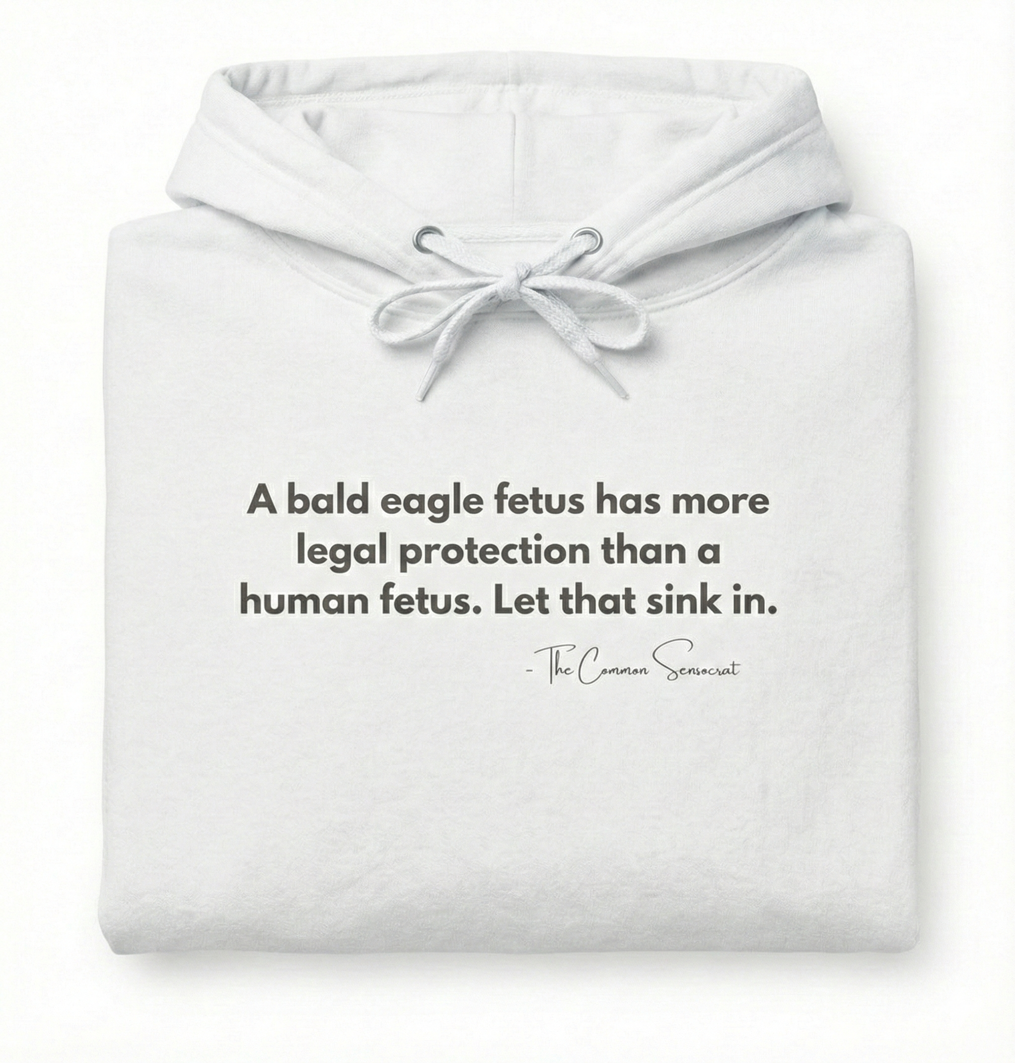 The Legal Eagle Hoodie // The Common Sensocrat