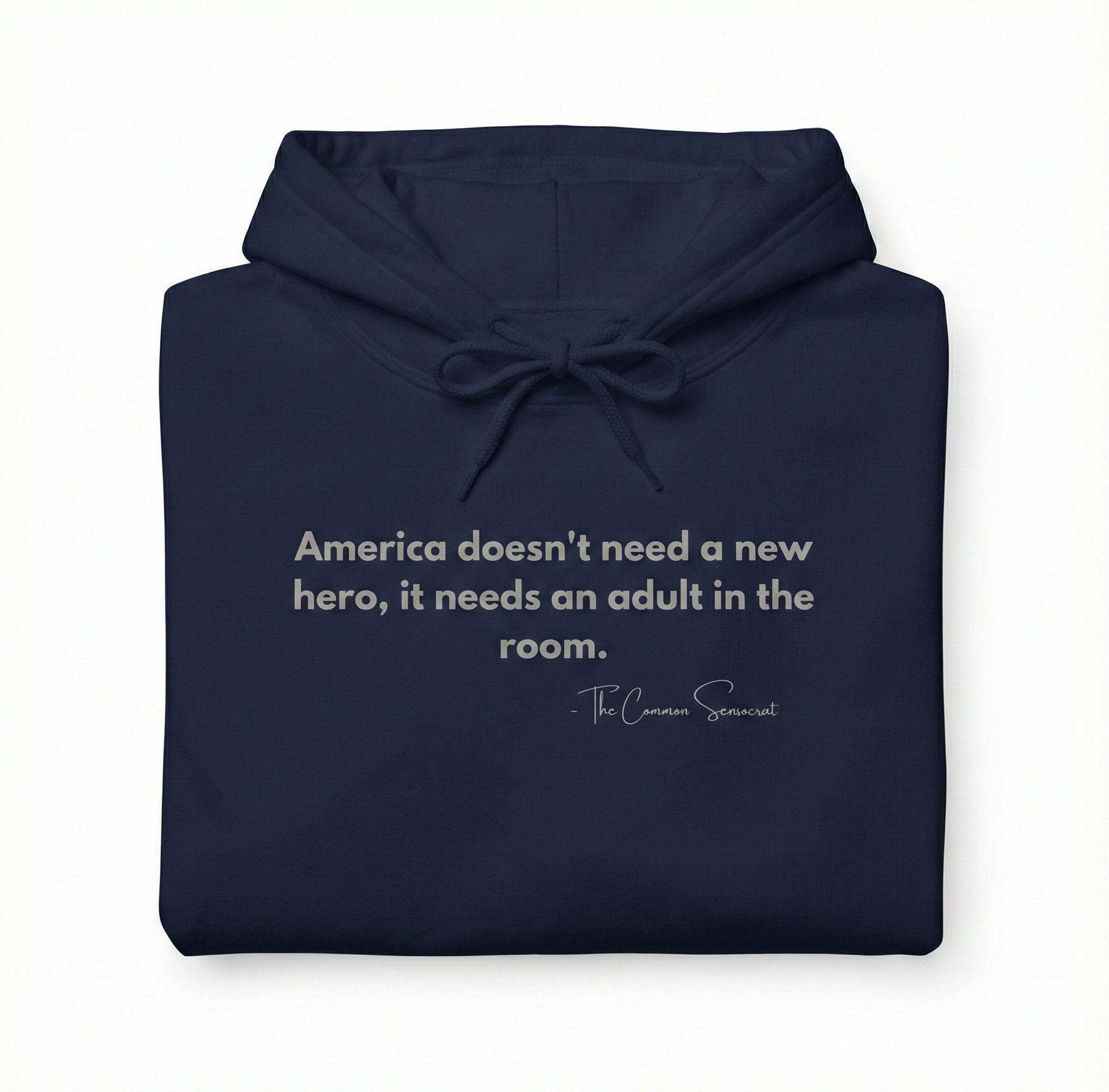The Adult in the Room Hoodie // The Common Sensocrat